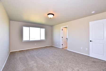 New construction Single-Family house 437 Vivid Ln , Evans, CO 80634 - photo 31 31