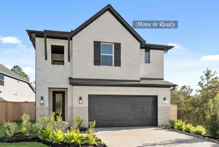 New construction Single-Family house 26133 N Skylight Brook Cir, Montgomery, TX 77316 plan The Terrace - image