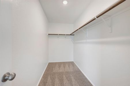 New construction Single-Family house 150 Big Banyan Dr, Dripping Springs, TX 78620 plan Somerset - Smart Series - image 12