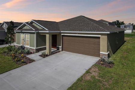 New construction Single-Family house 15005 Emerson Field St, Wimauma, FL 33598 plan Dover - image