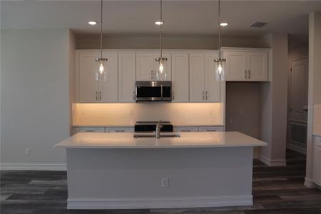 New construction Single-Family house 1032 E Allegrie Dr, Inverness, FL 34453 null- photo 10 10