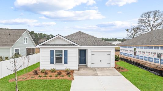 New construction Single-Family house 600 Perch Ln, Santee, SC 29142 - image