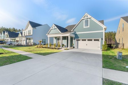 New construction Single-Family house 223 Summer Tanager Dr, Ravenel, SC 29470 - image