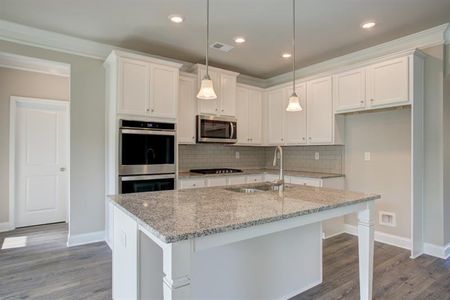 New construction Single-Family house 545 Greg's Pl, Mcdonough, GA 30253 Jasmine- photo 5 5