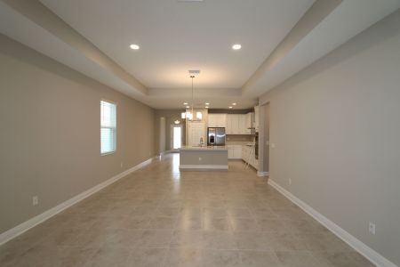 New construction Single-Family house 4763 Beachrose Way, Lakeland, FL 33811 Picasso- photo 50 50