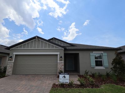 New construction Single-Family house 12831 Castle Oaks Dr, Hudson, FL 34669 plan Sentinel - image