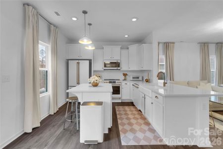 New construction Single-Family house 242 Lacewing Dr, Charlotte, NC 28214 - image 8