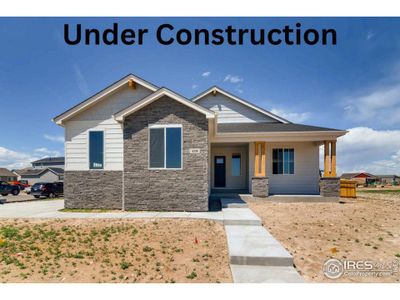 New construction Single-Family house 782 Clydesdale Dr, Windsor, CO 80550 Plan Unknown- photo 13 13