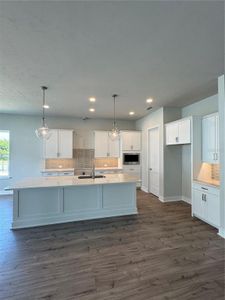 New construction Single-Family house 804 Sw 144Th Dr, Newberry, FL 32669 plan Chantilly - image 12
