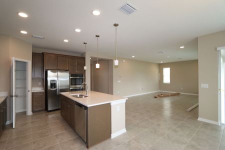 New construction Single-Family house 38326 Tobiano Loop, Dade City, FL 33525 Casanova- photo 105 105