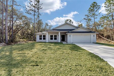 New construction Single-Family house 6951 Sw 151St Pl, Dunnellon, FL 34432 - image