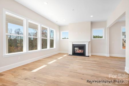 New construction Single-Family house 4172 Millstream Rd, Unit 137, Denver, NC 28037 - image 14