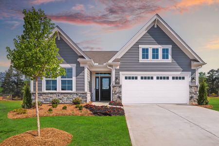 New construction Single-Family house 302 Sheephead Byu, Panama City Beach, FL 32407 plan Amelia - image