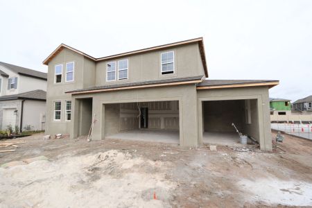 New construction Single-Family house 20050 Oriana Loop, Land O' Lakes, FL 34638 Santa Monica- photo 74 74