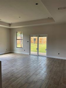 Spare room with a tray ceiling and wood-type flooring