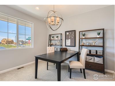 New construction Single-Family house 2494 Cottongrass Ave, Loveland, CO 80538 null- photo 19 19