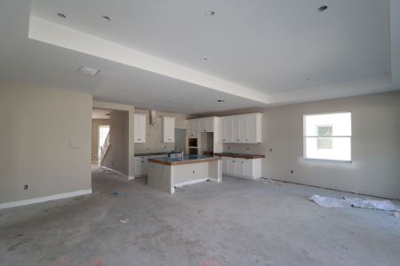 New construction Single-Family house 20050 Oriana Loop, Land O' Lakes, FL 34638 Santa Monica- photo 96 96