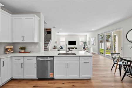 New construction Single-Family house 6244 29th Street N, St. Petersburg, FL 33714 - image 17