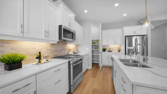 New construction Single-Family house 10025 Hammock Brook Dr, Parrish, FL 34219 plan Meadow Brook - image 12