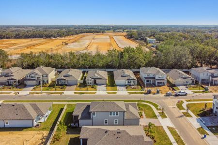 New construction Single-Family house 38471 Barrel Dr, Dade City, FL 33525 Picasso Bonus- photo 97 97