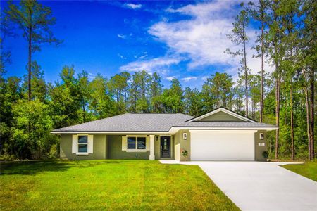 New construction Single-Family house 171 E Finland Lane, Citrus Springs, FL 34434 - photo 0