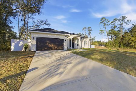 New construction Single-Family house 4590 Sw 172Nd Street Rd, Ocala, FL 34473 - image