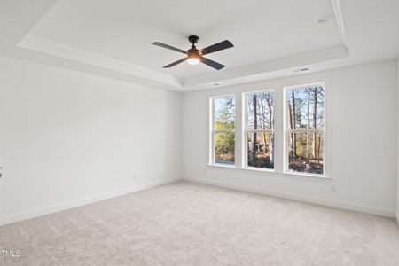 New construction Single-Family house 9140 Dupree Meadow Dr, Unit 9, Angier, NC 27501 Highland- photo 19 19