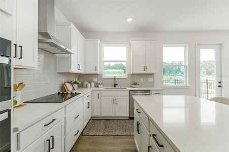 New construction Single-Family house 3278 Tybee Square Blvd, Valrico, FL 33596 - image 8