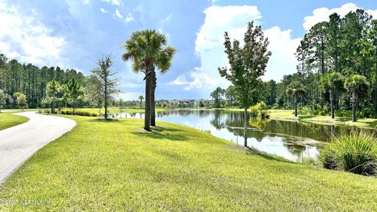 New construction Single-Family house 415 Juniper Hills Dr, St. Johns, FL 32259 Antigua- photo 52 52