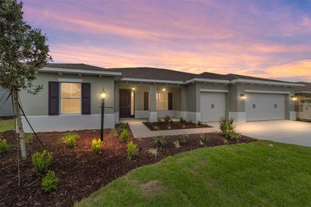 New construction Single-Family house 10007 SW 106th Ct, Ocala, FL 34481 plan Beatrix - image
