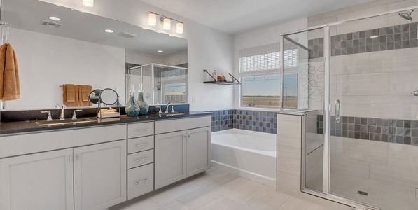 New construction Single-Family house 43208 N Hinoki St, Queen Creek, AZ 85140 plan Haven - image 12