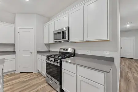 New construction Single-Family house 3855 Rose Hill Ct, Denison, TX 75020 - image 4