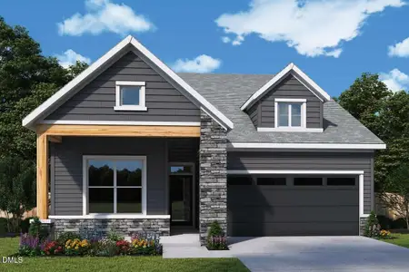 New construction Single-Family house 287 Aspen Ave, Pittsboro, NC 27312 - image