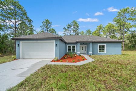 New construction Single-Family house 11329 Thrasher Ave, Brooksville, FL 34614 - image