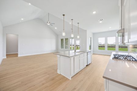 New construction Single-Family house 120 Rancher Trl, Waxahachie, TX 75165 plan Belmont - image 6