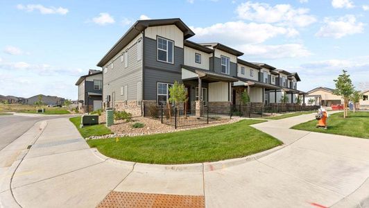 New construction Townhouse house 3425 Triano Creek Dr, Unit 101, Loveland, CO 80538 null- photo 3 3