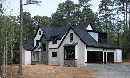 New construction Single-Family house 35 Big Bear Dr, Pittsboro, NC 27312 - image