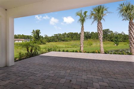 New construction Single-Family house 11328 Weaver Hollow Road, New Port Richey, FL 34654 - photo 28 28