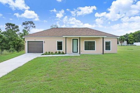 New construction Single-Family house 253 Hallmark Ave, Lake Placid, FL 33852 - image