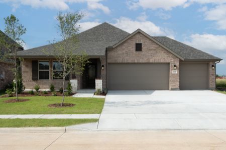 New construction Single-Family house 3144 Patrinia St, Royse City, TX 75189 plan Carson - image