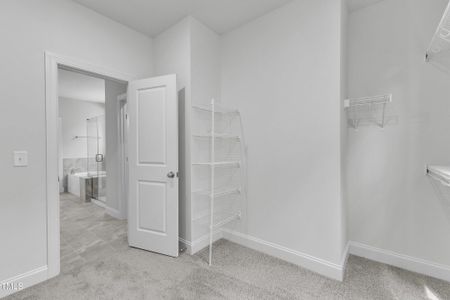 New construction Single-Family house 9164 Dupree Meadow Dr, Unit 14, Angier, NC 27501 - image 19