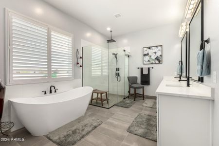 New construction Single-Family house 667 W Patrick Pl, San Tan Valley, AZ 85143 - image 8