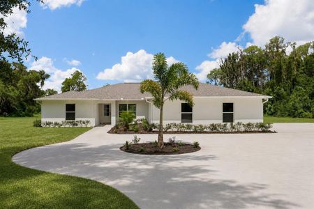 New construction Single-Family house 39251 County Rd 439, Umatilla, FL 32784 - image