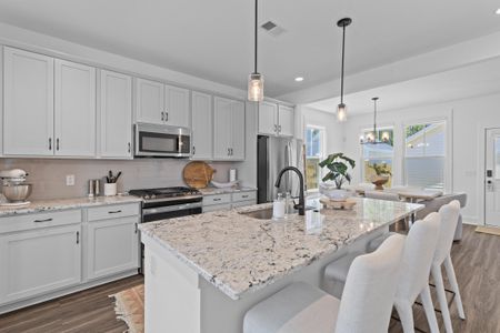 New construction Single-Family house 112 Crimson St, Summerville, SC 29486 Rowan - photo 8 8