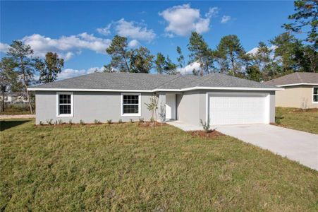 New construction Single-Family house 3920 Sw 138Th Street, Ocala, FL 34473 - photo 0