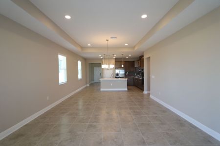 New construction Single-Family house 38357 Palomino Dr, Dade City, FL 33525 Picasso Bonus- photo 36 36