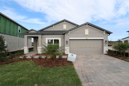 New construction Single-Family house 31229 Denham Ridge Ln, Wesley Chapel, FL 33545 Newport II- photo 67 67