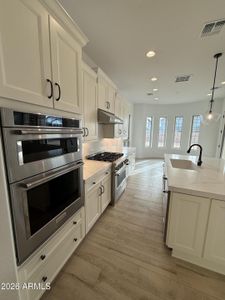 New construction Single-Family house 1081 E Peach Tree Dr, Chandler, AZ 85249 - image 8