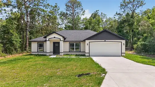 New construction Single-Family house 12 Guava Terrace Radl, Ocklawaha, FL 32179 - image