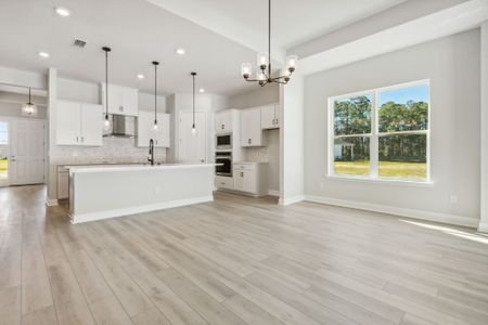 New construction Single-Family house 14224 Lons Pl, Jacksonville, FL 32226 plan Albatera II - image 10